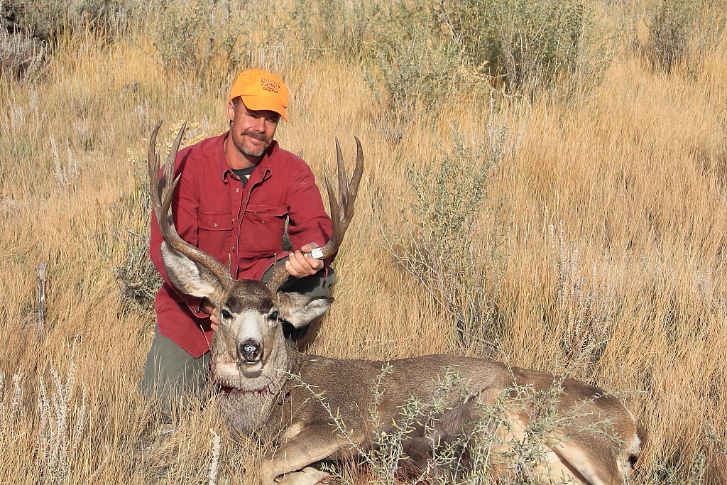 Book Cliffs Buck MuleyMadness Hunting Forums